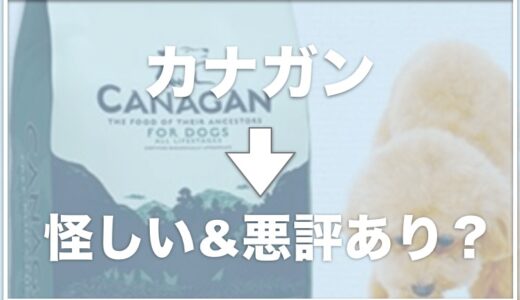 カナガンがしつこいし怪しいと言われる理由は何？悪評や体臭がひどくなったという口コミも？