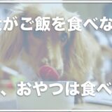 【緊急】犬がフード・ご飯を食べないけどおやつは食べる！知恵袋の反応や元気がない・吐く時の対処法