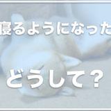 よく寝る犬は長生きで寿命は長い？よく寝るようになったのはなぜ？元気がない・寝てばかりならコレがオススメ！