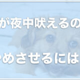 犬が夜中吠えるのをやめさせるには？無視がいいって本当？寂しいのが理由なのか近所迷惑にならない方法を調査！