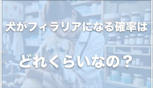 犬がフィラリアになる確率は？フィラリアにかかった犬の寿命や余命も調査！