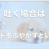 犬が吐く場合はドッグフードをふやかすといい？吐いたあと食事・ご飯をどうすべきか調査！