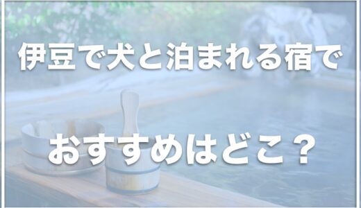 伊豆でペット・犬と泊まれる宿は？露天風呂付き客室があるおすすめの宿をチェック