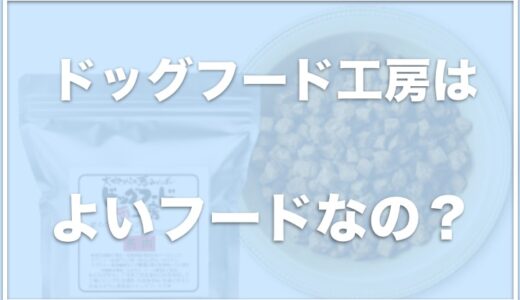 ドッグフード工房は涙やけに効果あり？今ならお試しできる？評価や評判をチェック！