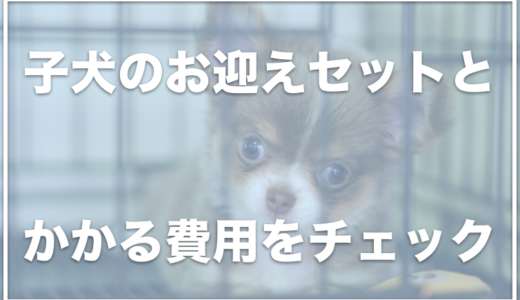 子犬のお迎えセット7選！お迎え準備をする場合の費用はいくらくらいかかる？