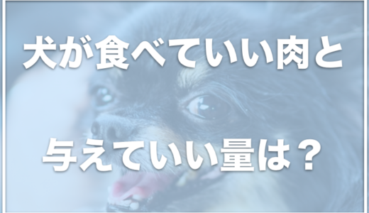 犬が食べていい肉7選！犬にあげていい肉で一番いい肉をチェック！