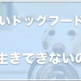 安いドッグフードでは長生きできないからダメ！？愛犬に長生きしてもらいたいならこのドッグフードがオススメ！