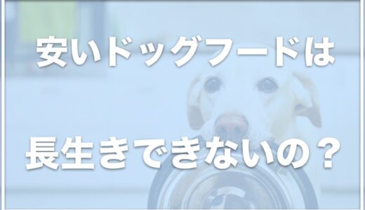 安いドッグフードでは長生きできないからダメ！？愛犬に長生きしてもらいたいならこのドッグフードがオススメ！