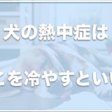 犬の熱中症はどこを冷やすといい？対策と予防は？正しく回復する手段を学んでおこう！