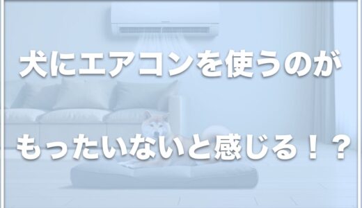 犬にエアコンがもったいない！？犬の夏の暑さ対策でエアコンなしは無理？ペットボトルや服で涼しくする方法も紹介！