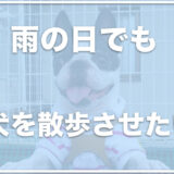 犬と雨でも散歩できる場所は大阪ではどこ？雨の日も犬とお出かけできるスポット【関西編】