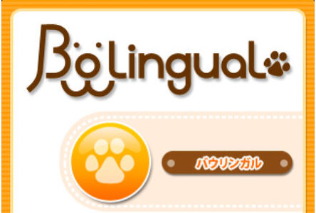 犬の気持ちがわかるアプリ(機械)はバウリンガル！精度はどうなの？使ってみた結果！