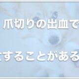 犬は爪切りの出血で死亡する！？血管が伸びてしまった時の対処は？切りすぎた場合の対処法も調査！