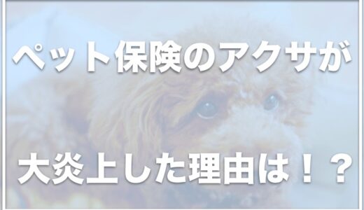 アクサダイレクトのペット保険が炎上した理由は？口コミが最悪の理由は急に支払い対象外になったから！？