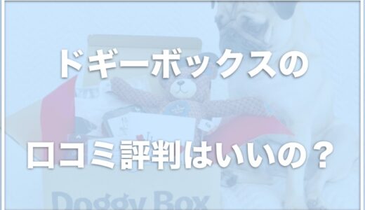 ドギーボックスはモニターがある？評判や支払い・解約方法をチェック！