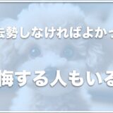 犬を去勢しなければよかったと後悔する人もいるの？去勢しない方がいいし長生き？死亡することもあるか調査！