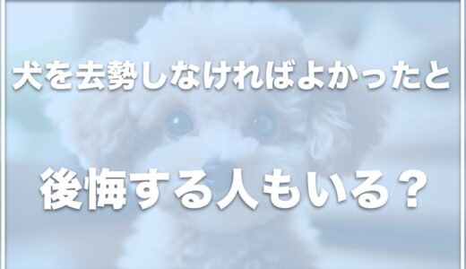 犬を去勢しなければよかったと後悔する人もいるの？去勢しない方がいいし長生き？死亡することもあるか調査！