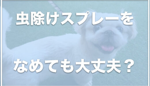 虫除けスプレーのペットへの影響は？犬がなめるのは大丈夫or害がある？なめる場合は手作りしよう！