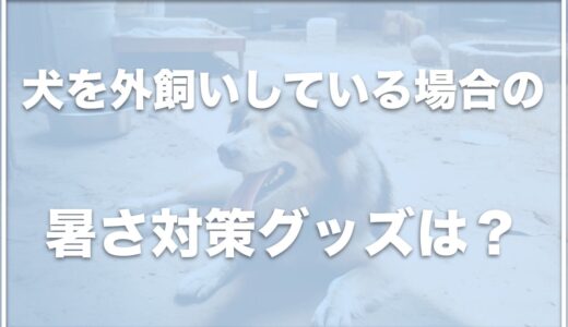 犬を外飼いしてる・外犬の暑さ対策グッズは？屋外で飼ってるなら要注意！散歩はどうする？