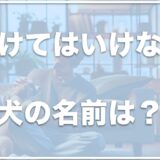 つけてはいけない犬の名前ランキングはコレ！犬が覚えやすい名前で愛犬と仲良くなろう