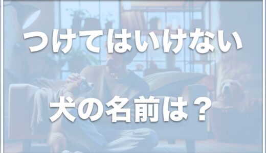 つけてはいけない犬の名前ランキングはコレ！犬が覚えやすい名前で愛犬と仲良くなろう