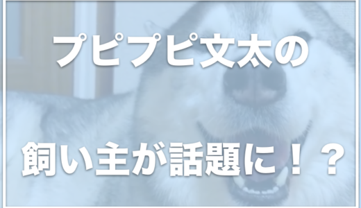 プピプピ文太の飼い主(中西ひな子さん)が美人！月収は？アンチがいるのはなぜ？