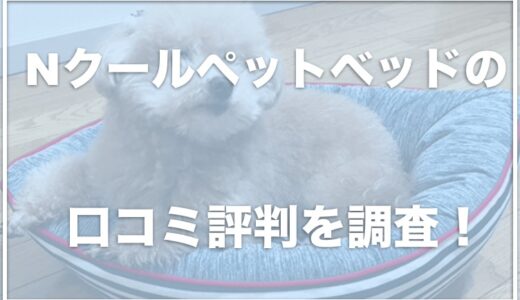 ニトリのペットベッドnクールが大人気！口コミや評判も上々？洗濯できるかも調査！