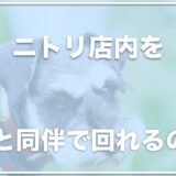 ニトリは犬連れ・ペットと入店できる？バギーやスリングはNG？犬同伴で店内を回りたい人はココに注意！