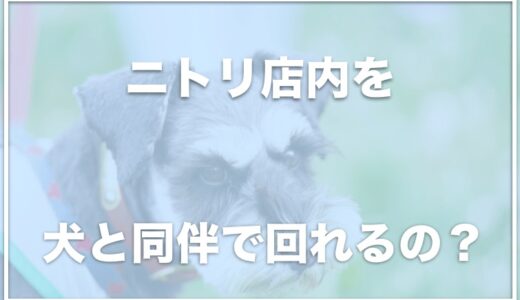 ニトリは犬連れ・ペットと入店できる？バギーやスリングはNG？犬同伴で店内を回りたい人はココに注意！