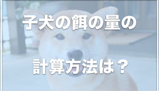 柴犬(子犬)の餌の量の計算方法は？生後○ヶ月ごとに調査！餌のおすすめはこちら！