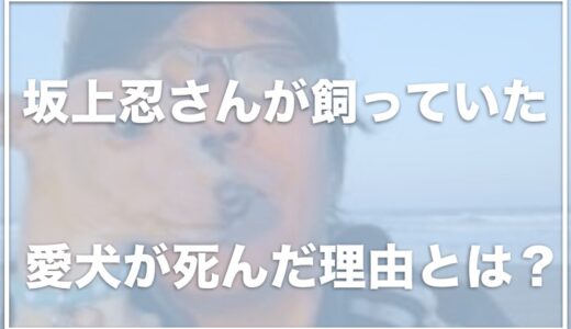 坂上忍の亡くなった犬(リク)の死因は？1年弱で亡くなることになった原因は？ 犬のために新居を建てた決意が凄い！