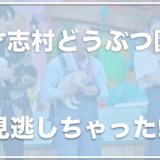 天才志村どうぶつ園の見逃し配信はあるの？再放送があるかどうかも調査！