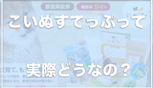 こいぬすてっぷは中身のクオリティが高いと評判？クーポン利用で値段が2000円引きになるかチェック！