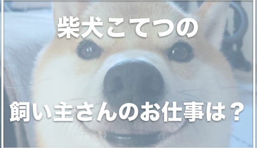 柴犬こてつの飼い主(パパ)の職業は？ふーみんと仲良し！カレンダーグッズも販売中？