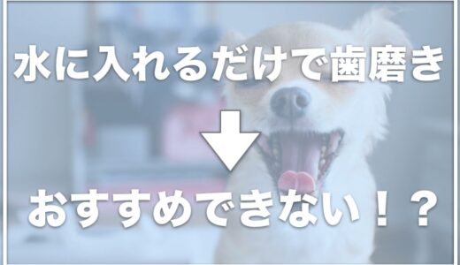 リデンタウォータープラスには副作用がある？犬の歯磨きで水に入れるだけのものはおすすめできないか調査！