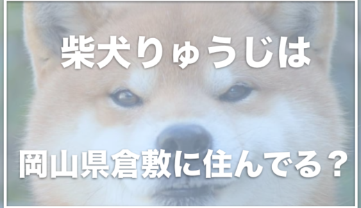 柴犬りゅうじは岡山県倉敷に住んでる？お家はお店のすぐそば？写真集やカレンダーが可愛い！