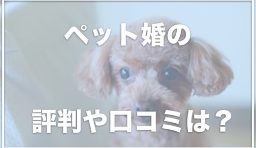 ペット婚の口コミに「犬好きな人との出会いなら」と評判多数！愛犬を愛してくれる異性の見つけ方