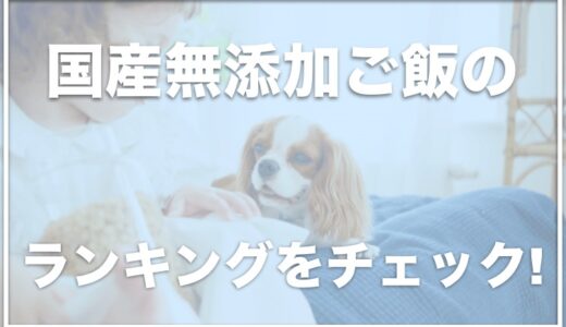 【ドッグフード】本当のランキングはコレ！ステマなしの安全でコスパ良しの安心フードを国産無添加の中で徹底比較！