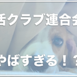 【犬がささみのおやつで死亡】生活クラブ連合会のささみのおやつで死亡事故！商品名は？初期対応が不味すぎた？