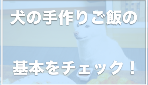 犬の手作りご飯のレシピで人気・簡単なものは？味付けや初心者が気をつけるべきことを紹介！