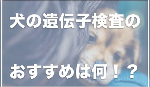 犬の遺伝子(DNA)検査を病院でする場合の費用は？わかることは何？キャリアの意味やおすすめのものは何なのか調査！