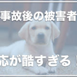 生活クラブとノースペットが酷すぎる！ペットフードで死亡事故も愛犬を亡くした人に酷い対応！？