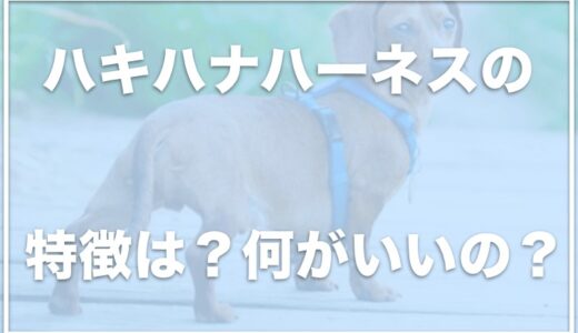 ハキハナハーネスの評判は？取扱店舗はどこかカインズに売ってるかもチェック！