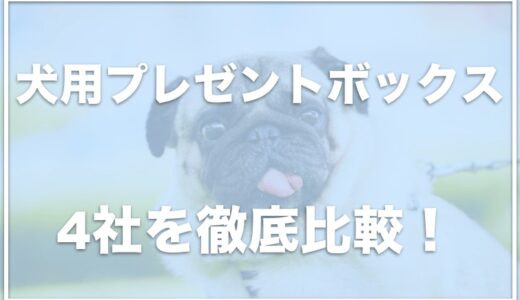 犬のサブスクが凄い！ギフトボックスで毎月おもちゃ・おやつが定期便で届くおすすめサービス4社+αを徹底比較♪