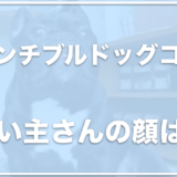 フレンチブルドッグココの飼い主の顔は？子供はいる？お仕事や年収を調査！