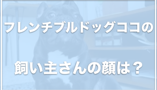 フレンチブルドッグココの飼い主の顔は？子供はいる？お仕事や年収を調査！