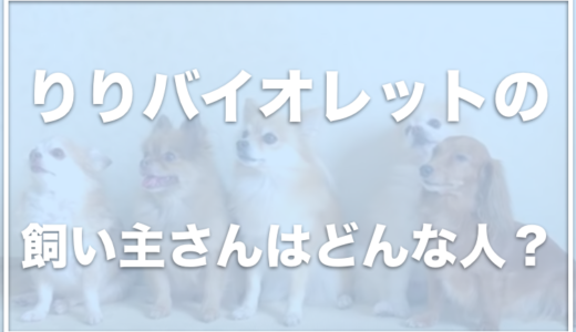 りりバイオレットの飼い主のお仕事は？犬の年齢・犬種・名前をチェック！