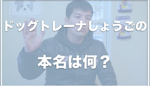 ドッグトレーナーしょうごの評判は？ワンダフルパートナーは保護犬活動もしている？