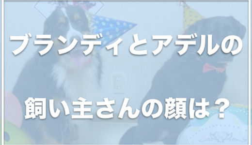 ブランディ・アデルの犬種は何？元保護犬なの？飼い主の顔や職業も調査！