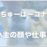 こぎちゅーばーコナンの飼い主の顔は？仕事は何をしているの？